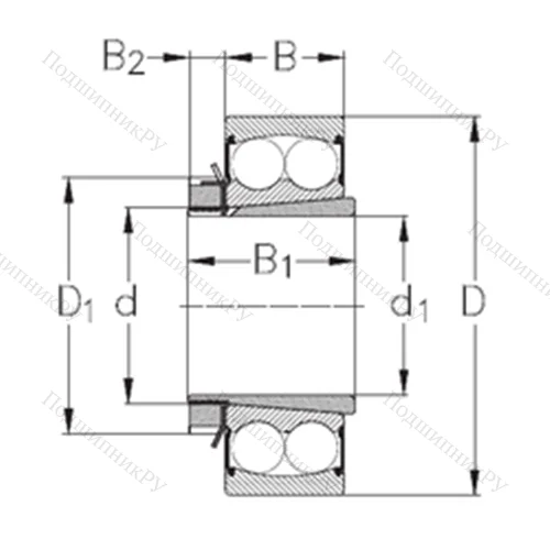 Подшипник шариковый радиальный самоцентрирующийся 2209-K-2RS+H 309